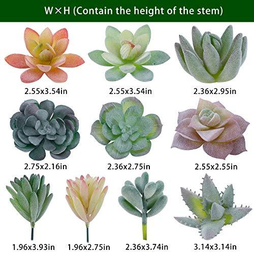 20pcs Artificial Flocked Succulent Mini Premium Fake Succulents Plants for DIY Crafting Home Floral Garden Arrangement Office Decor (Unpotted) - Lasercutwraps Shop