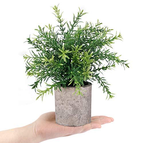 2pcs Artificial Mini Potted Plants Faux Rosemary Fake Plastic Bamboo Leaves for Bathroom Shelf Home Office Desk Room Decoration - Lasercutwraps Shop
