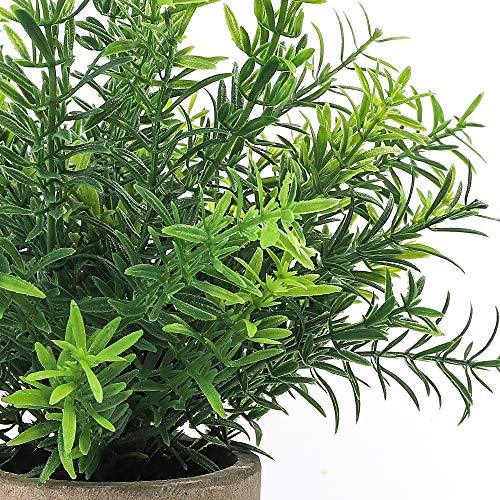 2pcs Artificial Mini Potted Plants Faux Rosemary Fake Plastic Bamboo Leaves for Bathroom Shelf Home Office Desk Room Decoration - Lasercutwraps Shop