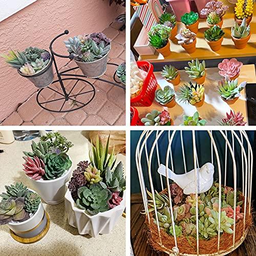 20pcs Artificial Flocked Succulent Mini Premium Fake Succulents Plants for DIY Crafting Home Floral Garden Arrangement Office Decor (Unpotted) - Lasercutwraps Shop