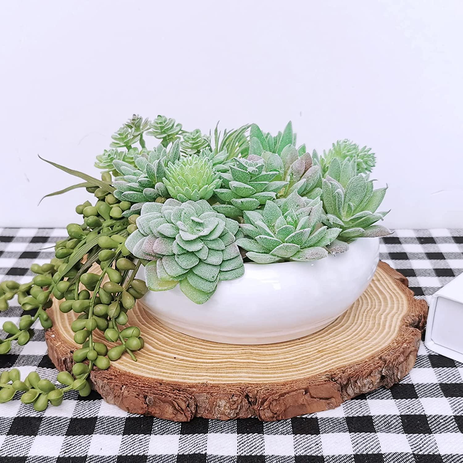 mini potted artificial succulents 11 Pcs Mini Artificial Succulents Picks Unpotted Faux Succulent Assort – Lasercutwraps Shop