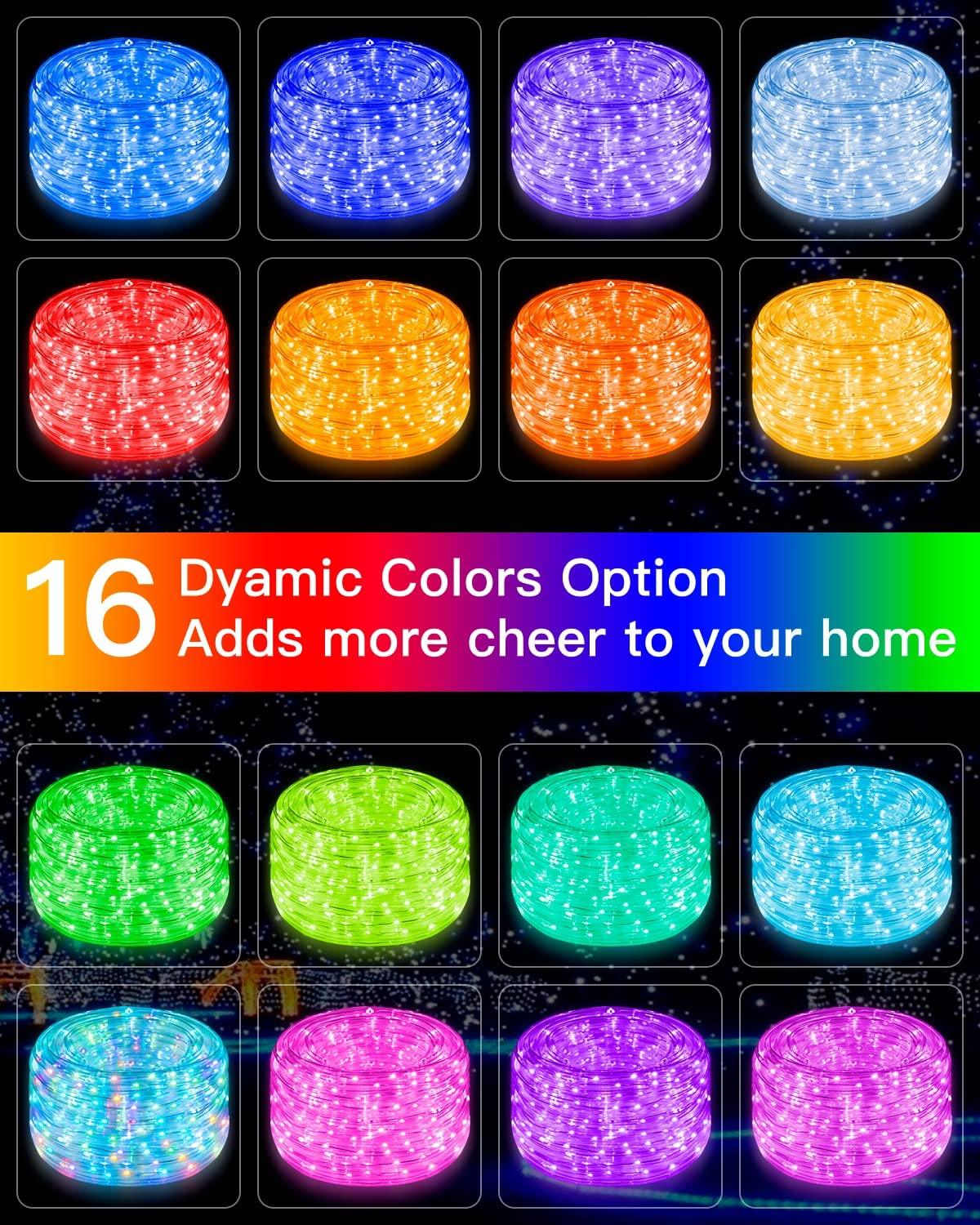 LED Rope Lights 100 LED/33ft Christmas Lights Outdoor,IP65 Waterproof Fairy Tube Twinkle String Lights - Lasercutwraps Shop