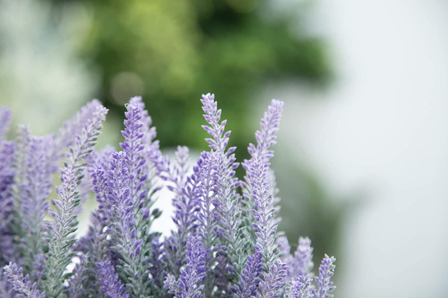 Artificial Flower Potted Lavender Plant for Home Decor (Wooden Tray, 9 Long) - Lasercutwraps Shop