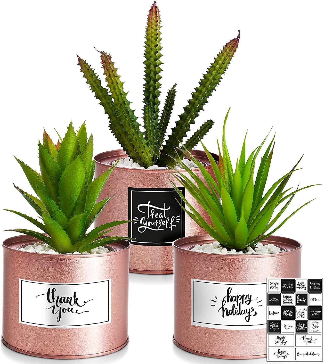 Artificial Succulents Boho Decor Faux Succulents Plants Artificial Desk Accessories for Women Desk Wedding Favors - Lasercutwraps Shop