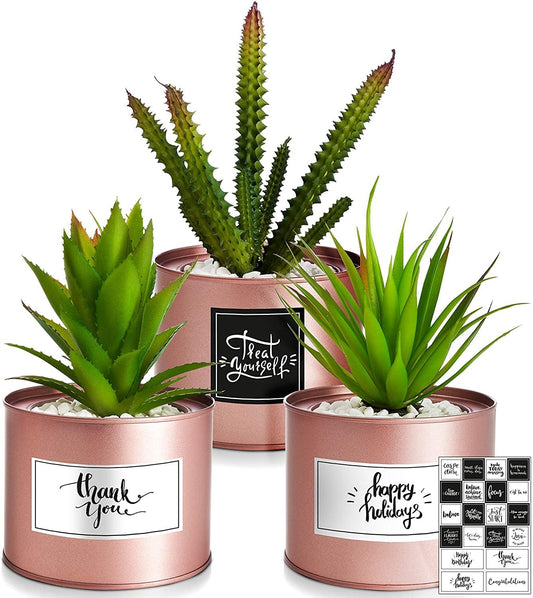 Artificial Succulents Boho Decor Faux Succulents Plants Artificial Desk Accessories for Women Desk Wedding Favors - Lasercutwraps Shop