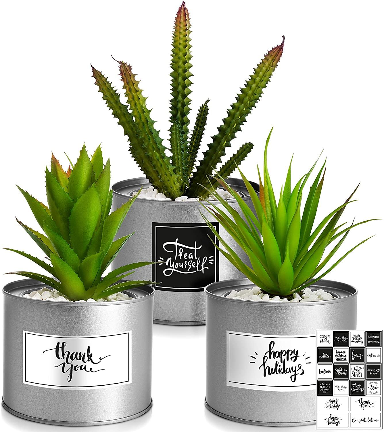 Artificial Succulents Boho Decor Faux Succulents Plants Artificial Desk Accessories for Women Desk Wedding Favors - Lasercutwraps Shop