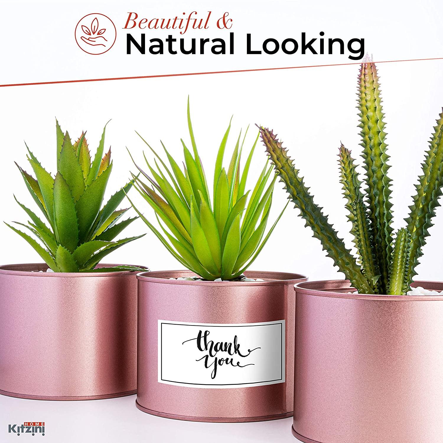 Artificial Succulents Boho Decor Faux Succulents Plants Artificial Desk Accessories for Women Desk Wedding Favors - Lasercutwraps Shop