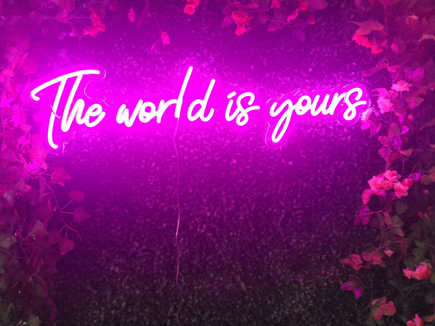 The World Is Yours Neon Sign – LED Wall Light for Party, Bedroom