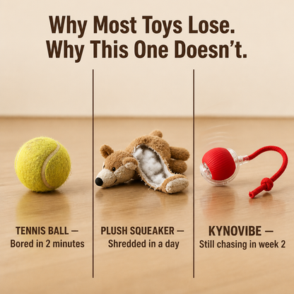 KynoVibe™ — Tire Out Your Hyper Dog Without Lifting a Finger