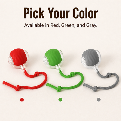 KynoVibe™ — Tire Out Your Hyper Dog Without Lifting a Finger
