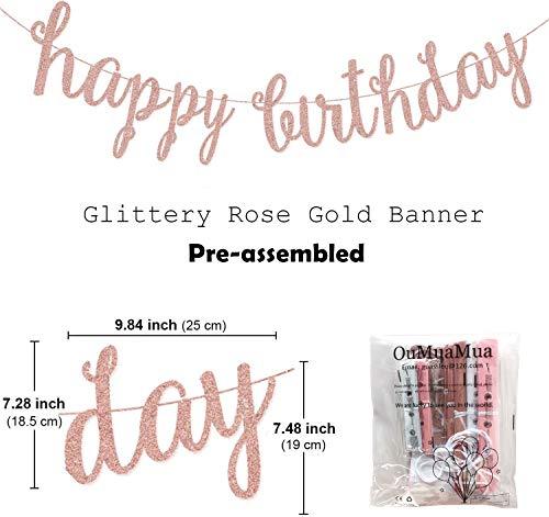 Pink Rose Gold Glittery Happy Birthday Banner - Lasercutwraps Shop
