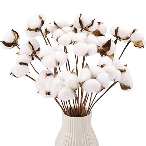 20pcs Cotton Stems, Fake Cotton Flowers Dried Cotton Picks Stalks Plants, Artificial Cotton Floral Stems Faux Farmhouse Decorations for Vase Home Decor - Lasercutwraps Shop