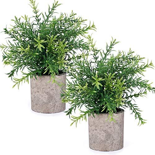 2pcs Artificial Mini Potted Plants Faux Rosemary Fake Plastic Bamboo Leaves for Bathroom Shelf Home Office Desk Room Decoration - Lasercutwraps Shop