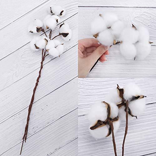 20pcs Cotton Stems, Fake Cotton Flowers Dried Cotton Picks Stalks Plants, Artificial Cotton Floral Stems Faux Farmhouse Decorations for Vase Home Decor - Lasercutwraps Shop