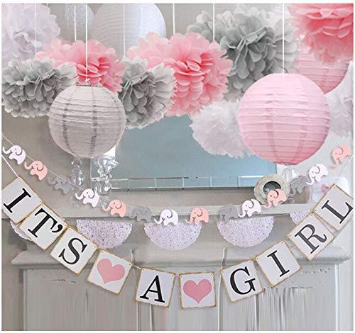 Baby Girl Baby Shower Decoration with Banners and Paper Lantern - Lasercutwraps Shop