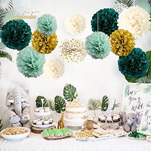 Wedding Party Decorations - 12 PCS Green Ivory Tissue Paper Pom Poms for Neutral Baby Shower, Birthday, Bridal Showers, Rustic Wedding Decorations - Lasercutwraps Shop