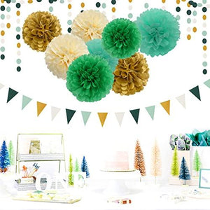 30pcs Rustic Wedding Tissue Pom Poms,Tassel Garland Banner