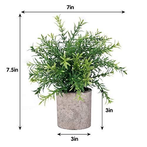 2pcs Artificial Mini Potted Plants Faux Rosemary Fake Plastic Bamboo Leaves for Bathroom Shelf Home Office Desk Room Decoration - Lasercutwraps Shop