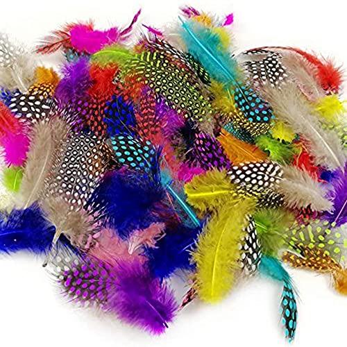 120pcs 3-6 Inches Colorful Spotted Feathers for DIY Craft, Jewelry and Clothing Decoration, 10 Colors - Lasercutwraps Shop