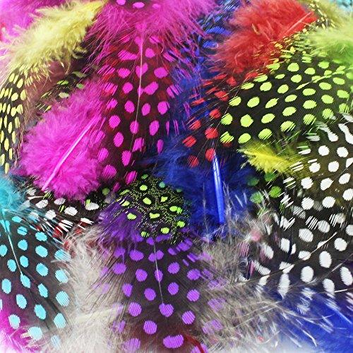 120pcs 3-6 Inches Colorful Spotted Feathers for DIY Craft, Jewelry and Clothing Decoration, 10 Colors - Lasercutwraps Shop