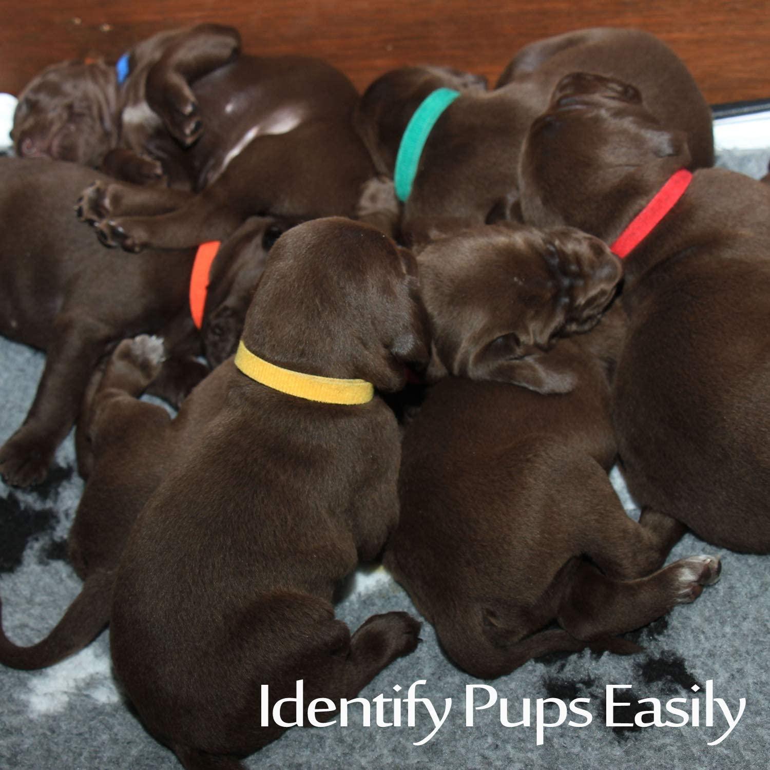 15 Colors Puppy ID Collars Whelping Dog Band Newborn Soft Fabric Adjustable Identification Collar - Lasercutwraps Shop