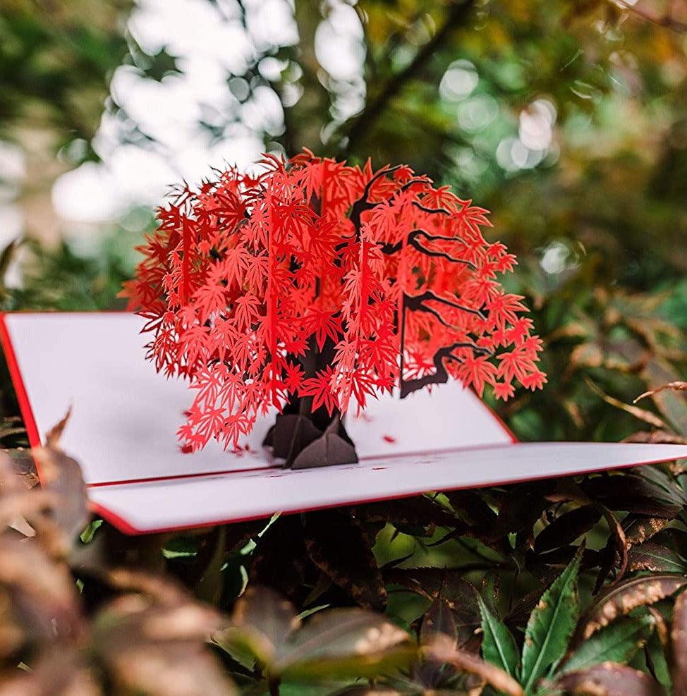 Japanese Maple Pop Up Card - 3D Card, Mother’s Day Pop Up Card, Fall Greeting Card, Card for Mom, Card for Wife, Anniversary Pop Up Cards - Lasercutwraps Shop