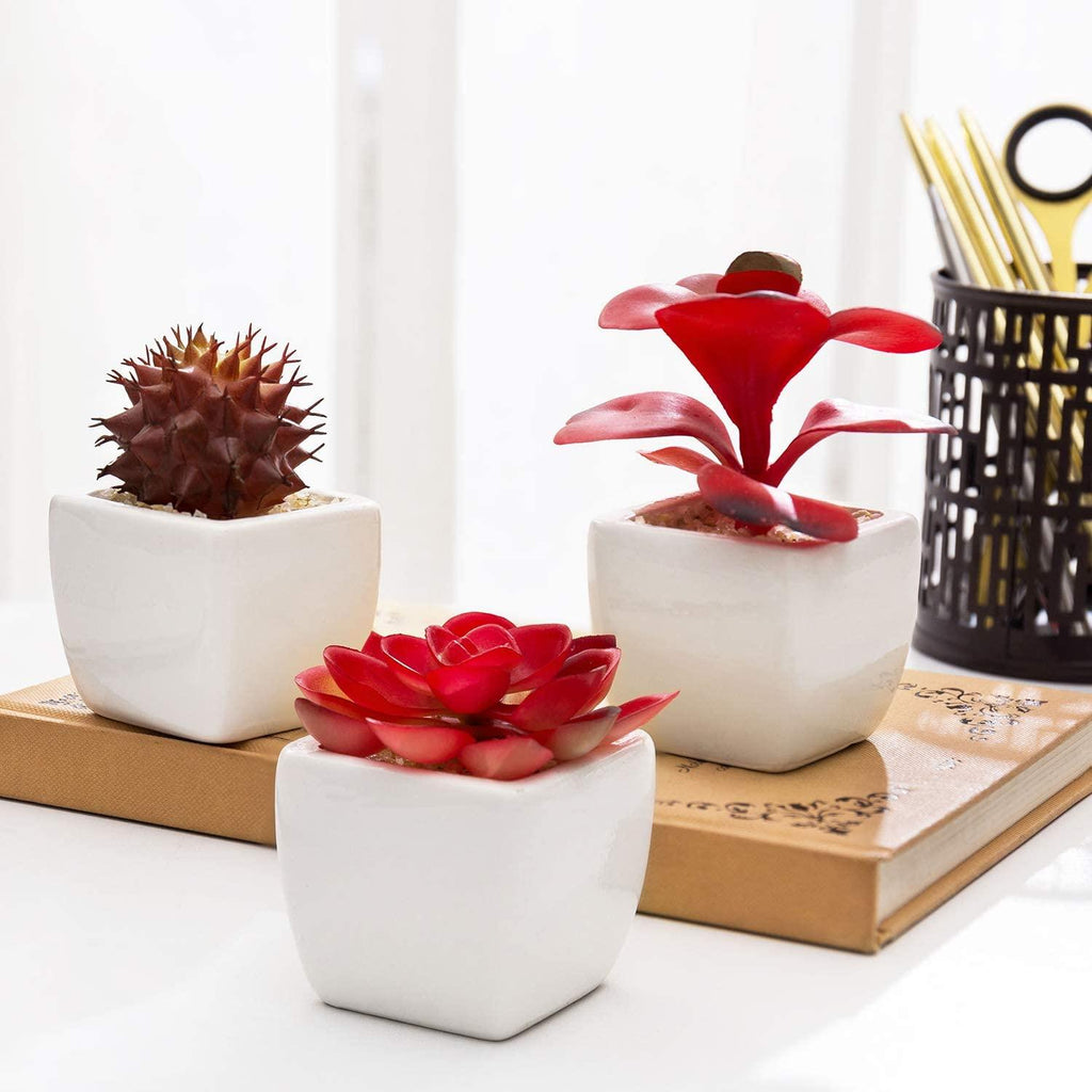 Set of 3 Miniature Red Artificial Succulent Plants in White Ceramic Pots - Lasercutwraps Shop