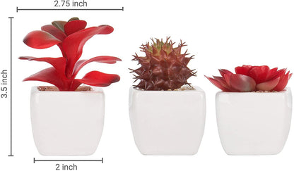 Set of 3 Miniature Red Artificial Succulent Plants in White Ceramic Pots - Lasercutwraps Shop