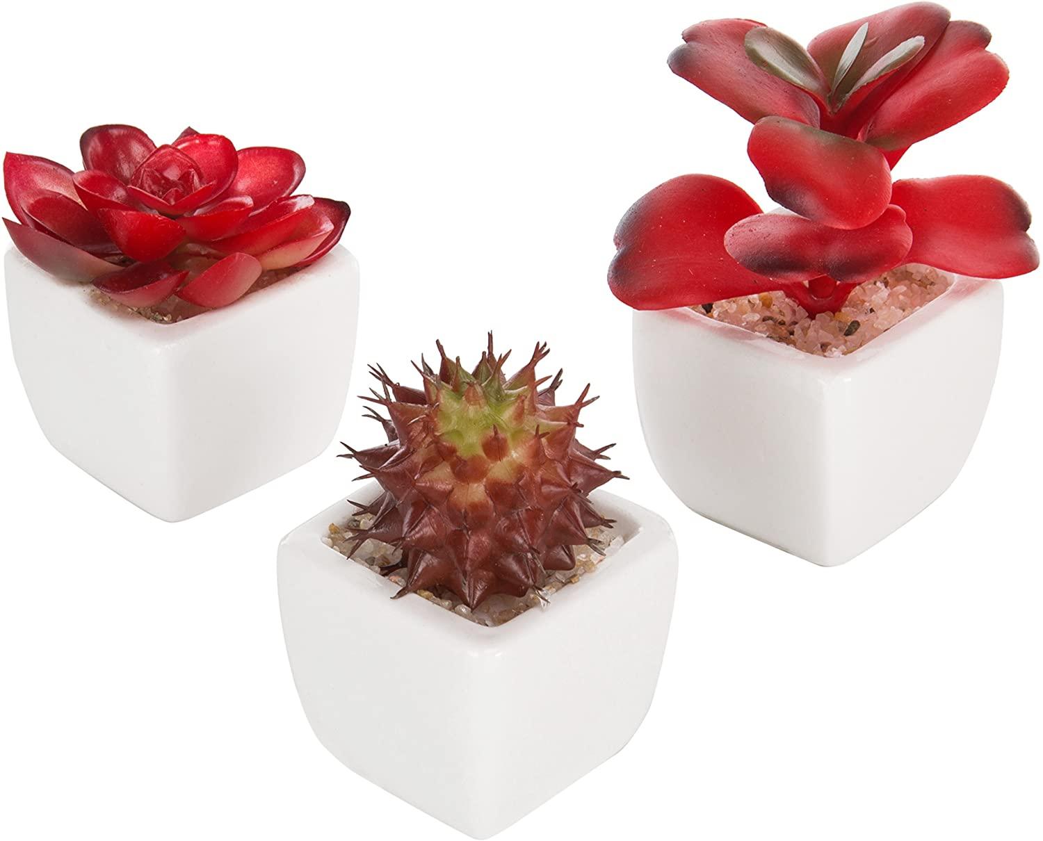 Set of 3 Miniature Red Artificial Succulent Plants in White Ceramic Pots - Lasercutwraps Shop