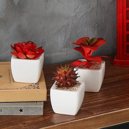 Set of 3 Miniature Red Artificial Succulent Plants in White Ceramic Pots - Lasercutwraps Shop