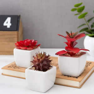 Set of 3 Miniature Red Artificial Succulent Plants in White Ceramic Pots - Lasercutwraps Shop