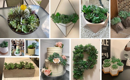 11 Pcs Mini Artificial Succulents Picks Unpotted Faux Succulent Assortment in Flocked Green in Different Type Different Size Succulents - Lasercutwraps Shop