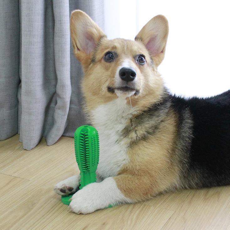 Dog Toothbrush Toy - Lasercutwraps Shop